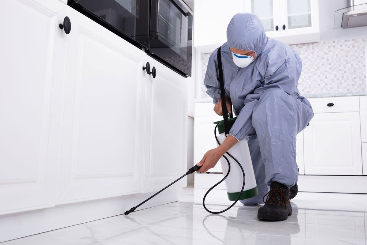 Pest Control Services Sydney
